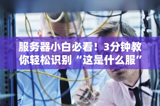 服务器小白必看！3分钟教你轻松识别“这是什么服”