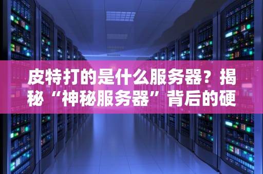 皮特打的是什么服务器？揭秘“神秘服务器”背后的硬核真相！