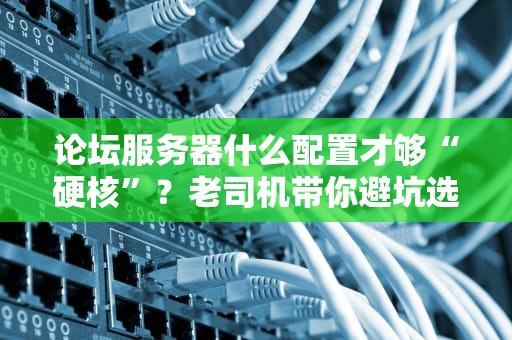 论坛服务器什么配置才够“硬核”？老司机带你避坑选神机！