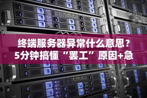 终端服务器异常什么意思？5分钟搞懂“罢工”原因+急救方案！