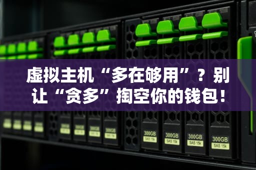 虚拟主机“多在够用”？别让“贪多”掏空你的钱包！