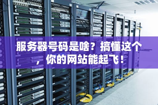 服务器号码是啥？搞懂这个，你的网站能起飞！