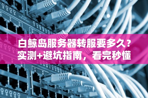白鲸岛服务器转服要多久？实测+避坑指南，看完秒懂！
