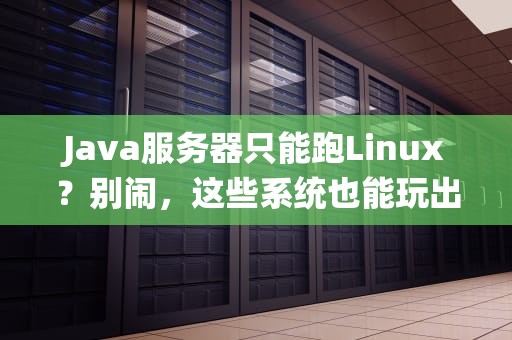 Java服务器只能跑Linux？别闹，这些系统也能玩出花！