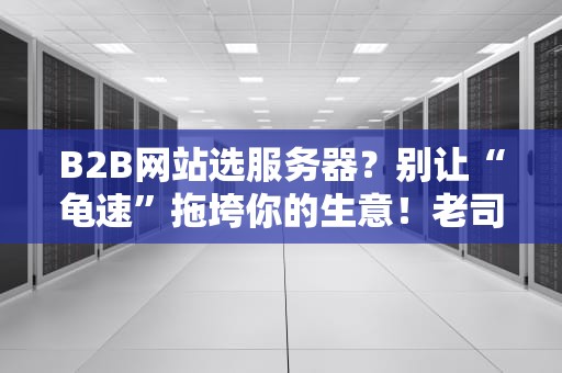 B2B网站选服务器？别让“龟速”拖垮你的生意！老司机手把手教你挑
