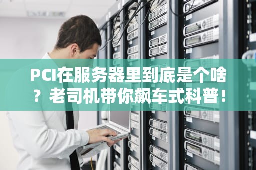 PCI在服务器里到底是个啥？老司机带你飙车式科普！