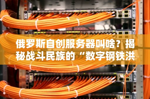 俄罗斯自创服务器叫啥？揭秘战斗民族的“数字钢铁洪流”