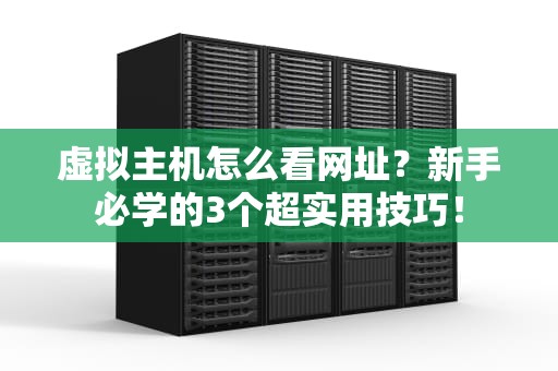 虚拟主机怎么看网址？新手必学的3个超实用技巧！