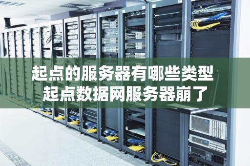 起点的服务器有哪些类型 起点数据网服务器崩了
