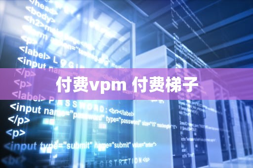 付费vpm 付费梯子