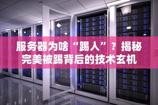 服务器为啥“踢人”？揭秘完美被踢背后的技术玄机