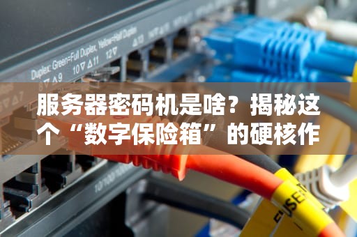 服务器密码机是啥？揭秘这个“数字保险箱”的硬核作用！