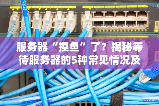服务器“摸鱼”了？揭秘等待服务器的5种常见情况及解决方案！
