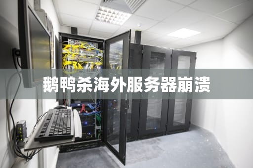 鹅鸭杀海外服务器崩溃