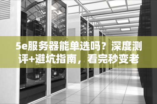 5e服务器能单选吗？深度测评+避坑指南，看完秒变老司机！