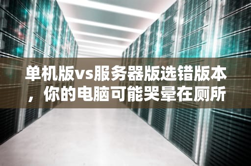 单机版vs服务器版选错版本，你的电脑可能哭晕在厕所！