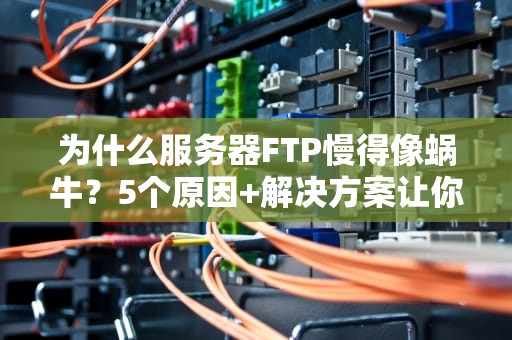 为什么服务器FTP慢得像蜗牛？5个原因+解决方案让你飞起来！