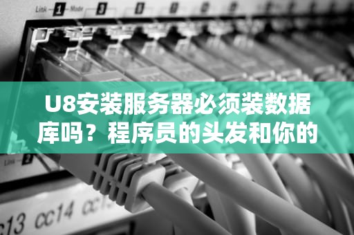 U8安装服务器必须装数据库吗？程序员的头发和你的选择权都在这里！