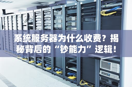系统服务器为什么收费？揭秘背后的“钞能力”逻辑！