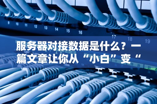 服务器对接数据是什么？一篇文章让你从“小白”变“大神”！（附实战案例）