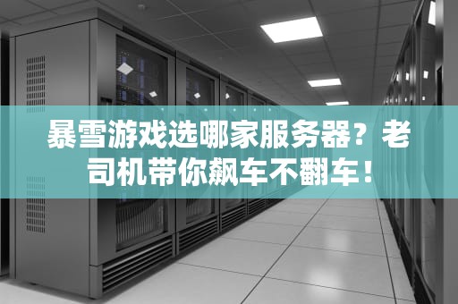 暴雪游戏选哪家服务器？老司机带你飙车不翻车！