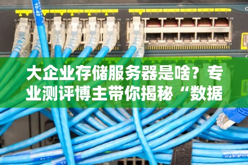 大企业存储服务器是啥？专业测评博主带你揭秘“数据豪宅”的奥妙！