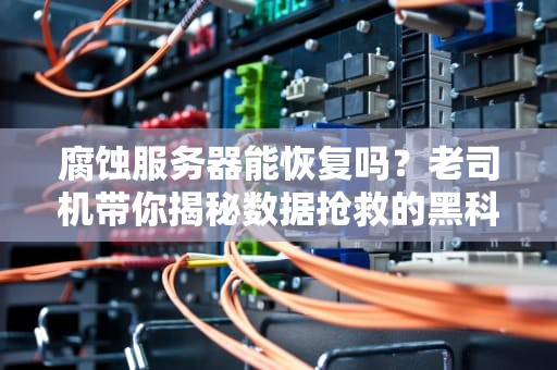 腐蚀服务器能恢复吗？老司机带你揭秘数据抢救的黑科技！