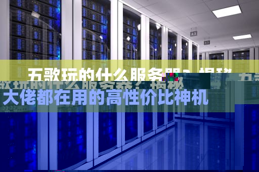 五歌玩的什么服务器？揭秘大佬都在用的高性价比神机！