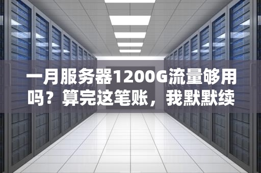 一月服务器1200G流量够用吗？算完这笔账，我默默续费了！
