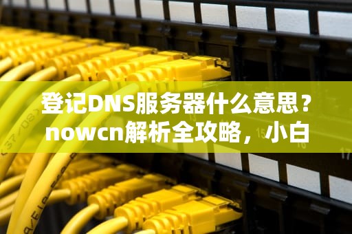 登记DNS服务器什么意思？nowcn解析全攻略，小白也能秒懂！