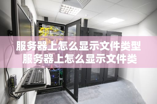 服务器上怎么显示文件类型 服务器上怎么显示文件类型呢