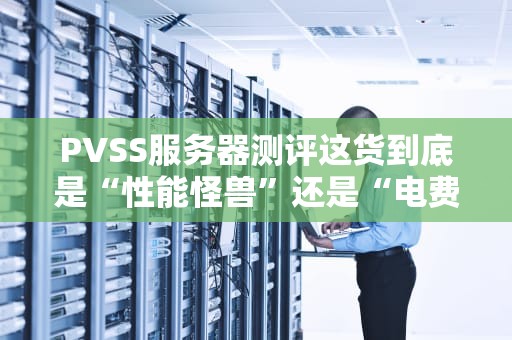 PVSS服务器测评这货到底是“性能怪兽”还是“电费刺客”？