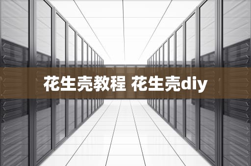花生壳教程 花生壳diy
