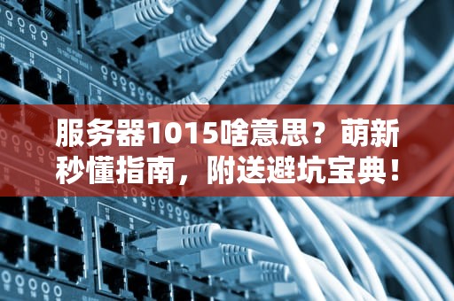 服务器1015啥意思？萌新秒懂指南，附送避坑宝典！
