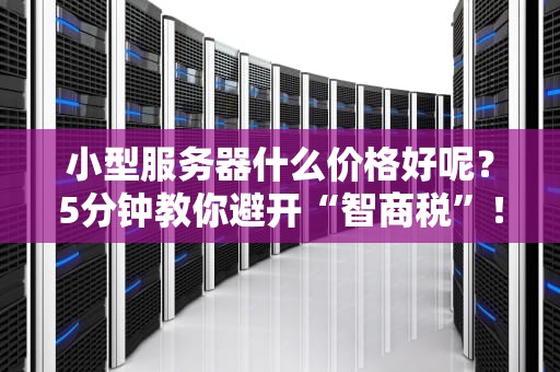 小型服务器什么价格好呢？5分钟教你避开“智商税”！（附2024选购指南）