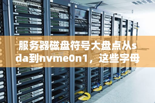 服务器磁盘符号大盘点从sda到nvme0n1，这些字母汤到底啥意思？
