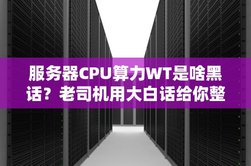 服务器CPU算力WT是啥黑话？老司机用大白话给你整明白！