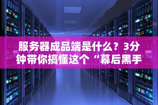服务器成品端是什么？3分钟带你搞懂这个“幕后黑手”！