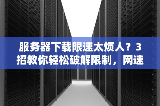 服务器下载限速太烦人？3招教你轻松破解限制，网速飞起！
