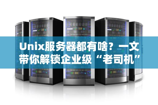 Unix服务器都有啥？一文带你解锁企业级“老司机”的硬核配置！