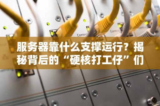 服务器靠什么支撑运行？揭秘背后的“硬核打工仔”们！