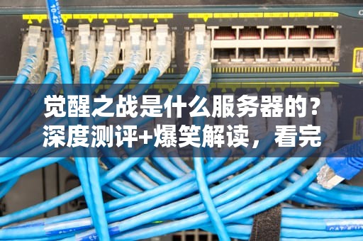 觉醒之战是什么服务器的？深度测评+爆笑解读，看完秒懂！