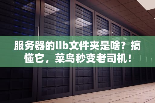 服务器的lib文件夹是啥？搞懂它，菜鸟秒变老司机！