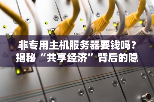 非专用主机服务器要钱吗？揭秘“共享经济”背后的隐藏账单！