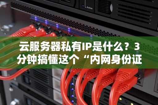 云服务器私有IP是什么？3分钟搞懂这个“内网身份证”！（附真实测评）