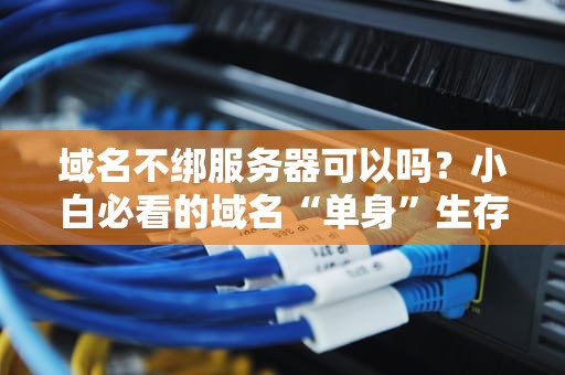 域名不绑服务器可以吗？小白必看的域名“单身”生存指南！