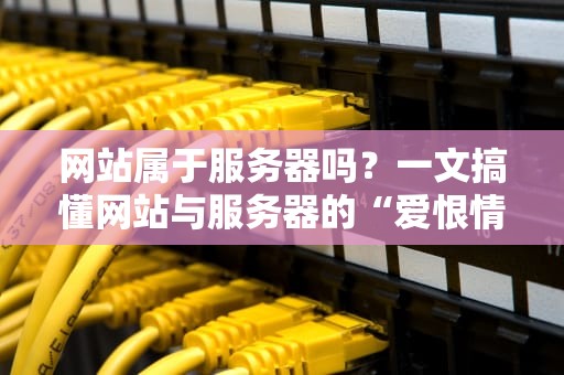 网站属于服务器吗？一文搞懂网站与服务器的“爱恨情仇”