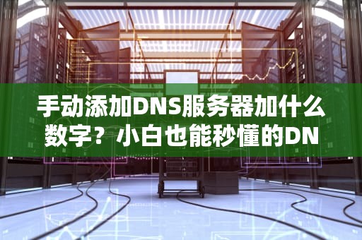 手动添加DNS服务器加什么数字？小白也能秒懂的DNS设置指南！