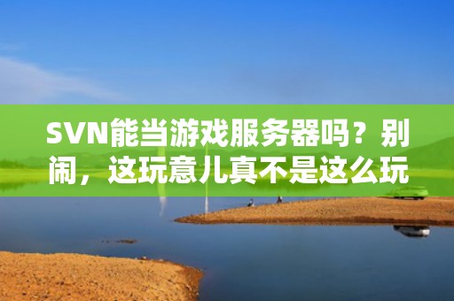 SVN能当游戏服务器吗？别闹，这玩意儿真不是这么玩的！