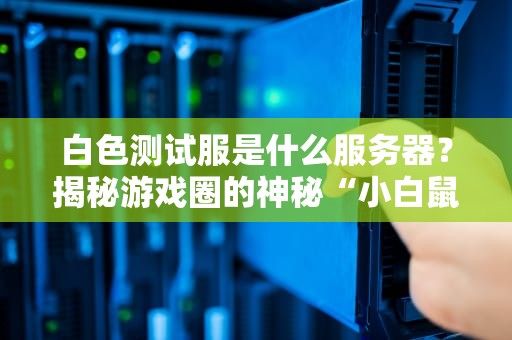 白色测试服是什么服务器？揭秘游戏圈的神秘“小白鼠”实验室！